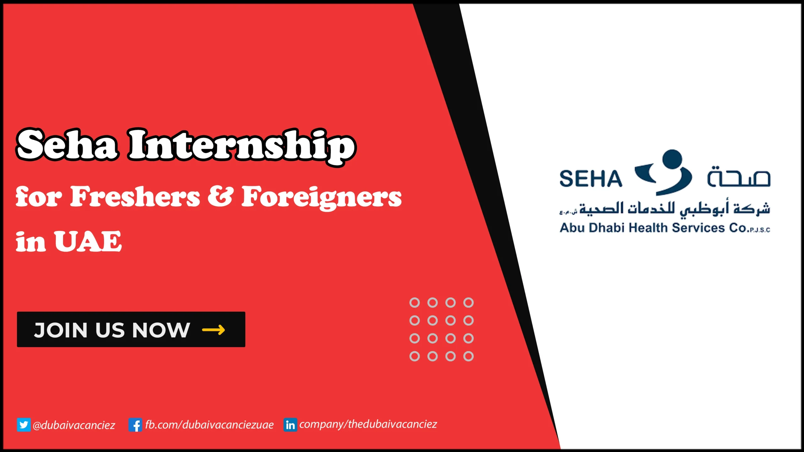 SEHA Internship